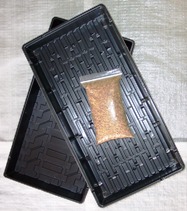 catgrasskit.jpg